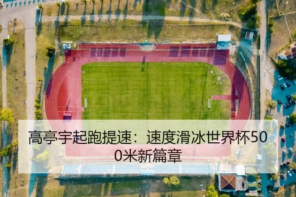 高亭宇起跑提速：速度滑冰世界杯500米新篇章